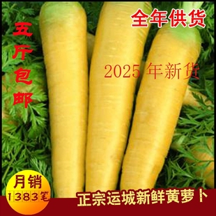 25年新货全年山西新鲜蔬菜黄胡萝卜黄萝手抓饭原自种3斤5斤100斤