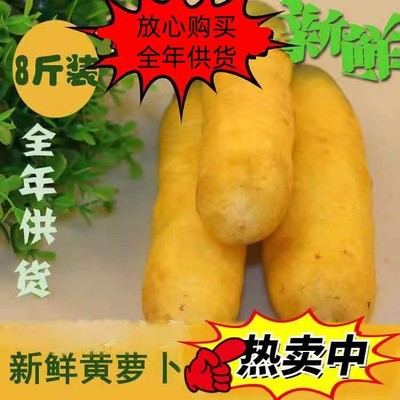 新货全年供货山西运城产胡萝卜手抓饭蔬菜农家全年四季脆净重