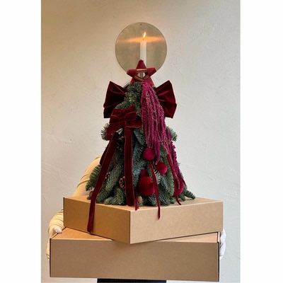 进口新鲜诺贝松圣诞树真树小型家用桌面迷你摆件圣诞节装饰送礼物