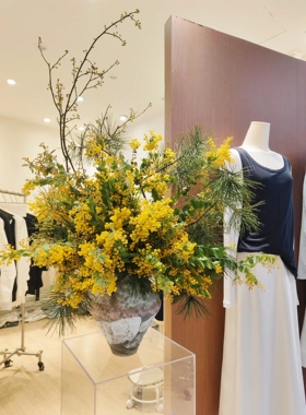 银叶金合欢干花黄色金合欢真花圣诞花服装店展厅软装装饰摆件