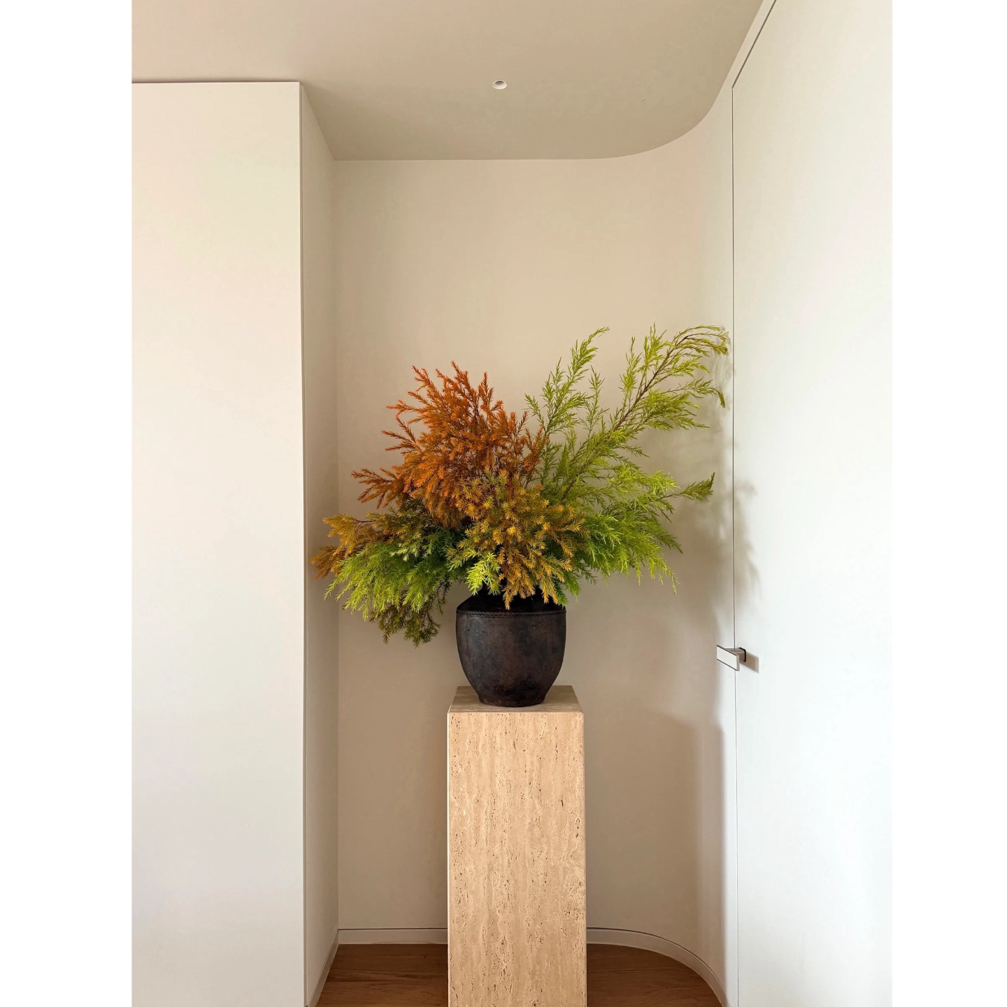 千层金鲜花黄金香柳渐变色切枝室内干花花束插花家居软装桌面装饰