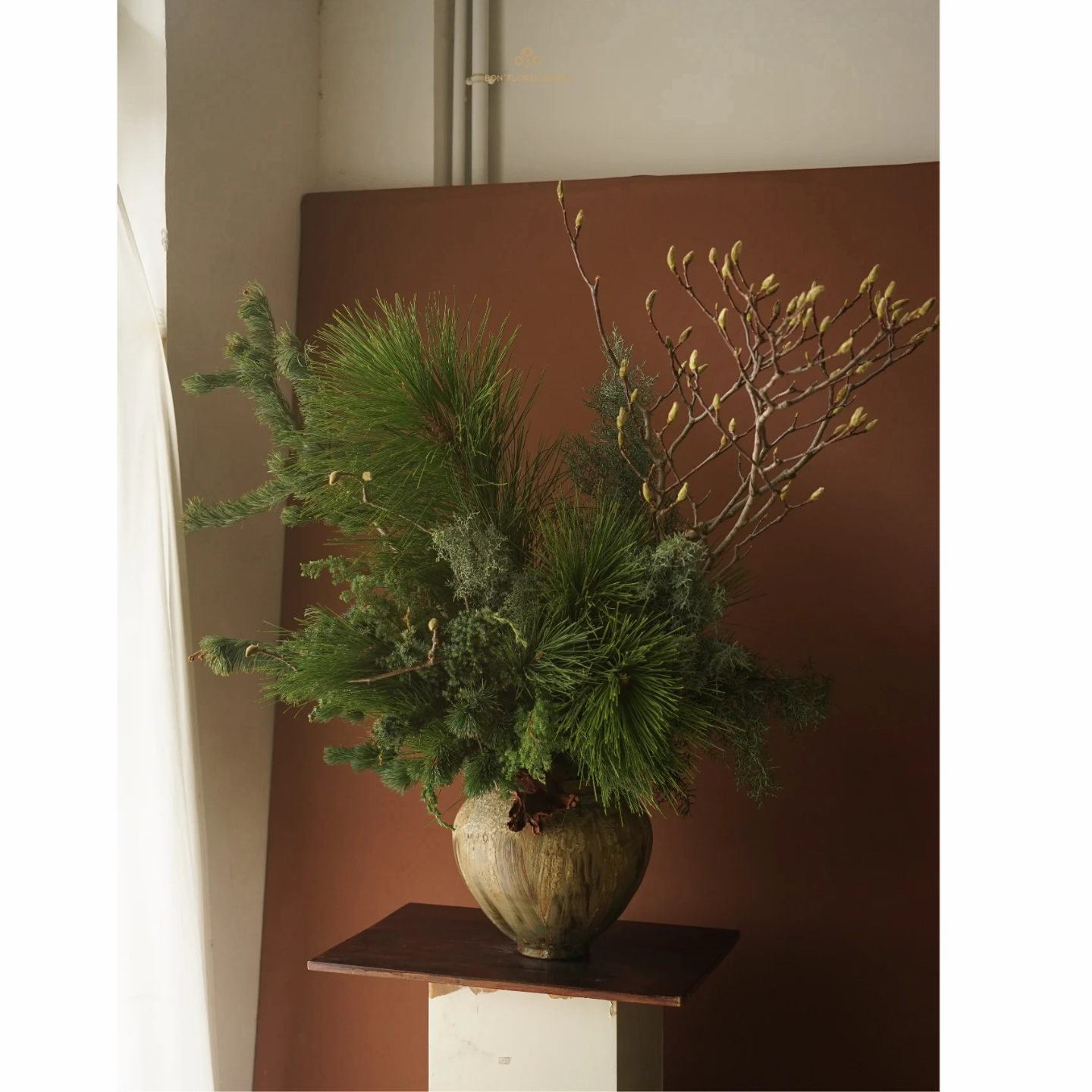 马尾松松枝鲜切枝玉兰枝真花水培瓶插花室内树枝家居软装装饰摆件