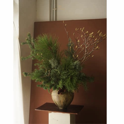 马尾松松枝鲜切枝玉兰枝真花水培瓶插花室内树枝家居软装装饰摆件