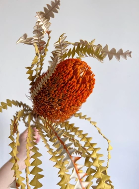 佛塔花佛塔干花花束真花风干进口瓶插花家居软装装饰桌面摆件
