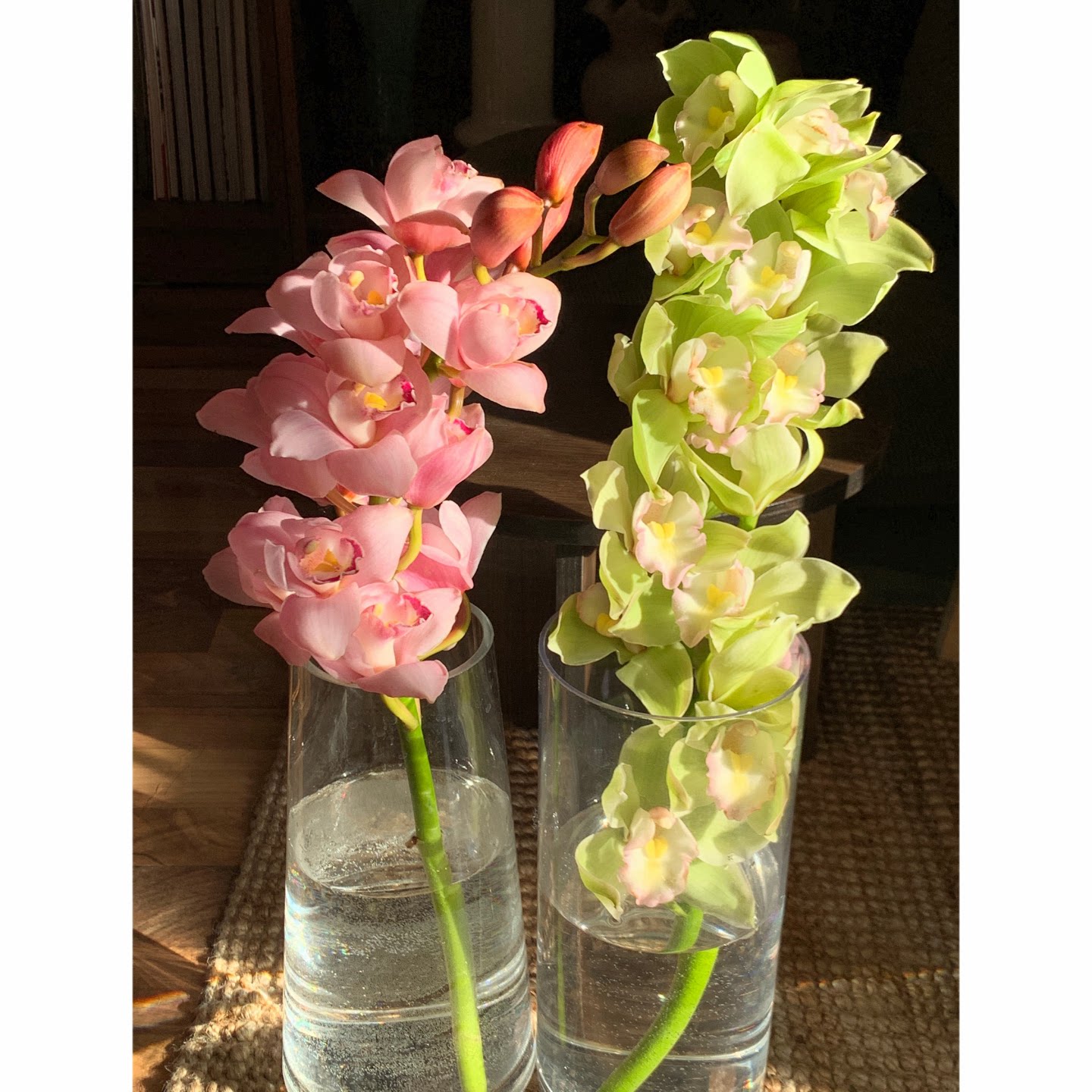大花蕙兰鲜花家用插花室内水培惠兰兰花鲜切花绿色插花虎头兰装饰