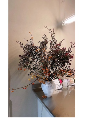 红叶李红色鲜切枝小苹果糖梨果鲜花混搭花束瓶插花家居软装摆件