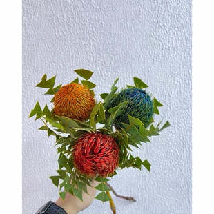 南非进口佛塔干花班克木干花真花家居瓶插花家居装饰侘寂高级摆件