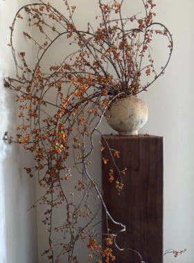 南蛇藤鲜切南蛇藤干花山归来禅意插花干枝软装家居侘寂风高级摆件