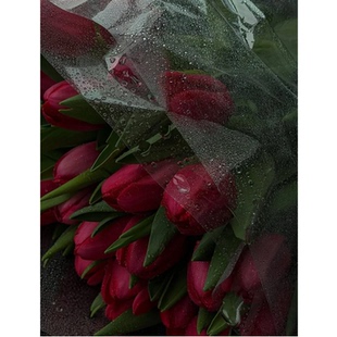 红色郁金香鲜花花束鲜切花水培插花家用插花婚庆喜庆装 饰年宵花