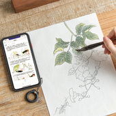 飞乐鸟国画线稿 工笔画白描底稿繁花绘禽鸟绘佳人绘初学者熟宣纸