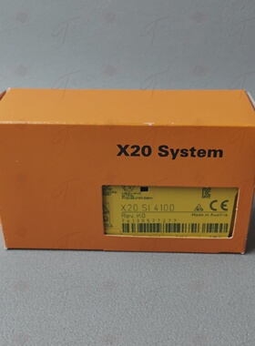 BR X20 SI 4100 BNIB