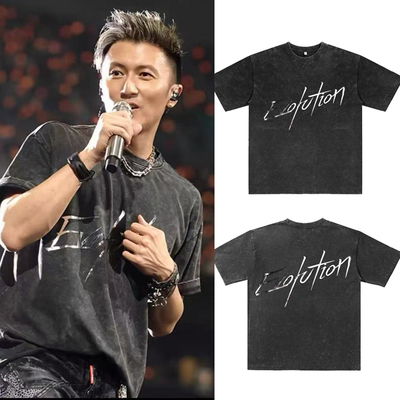 谢霆锋进化演唱会周边同款短袖纯棉洗水做旧T恤男女百搭宽松衣服
