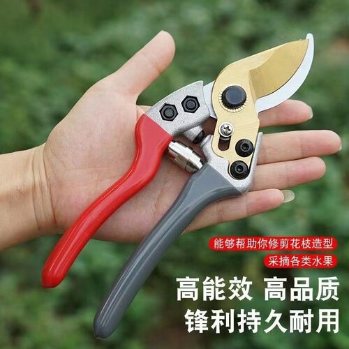果树修枝剪刀粗枝省力花艺剪园林园艺花卉修枝剪刀进口树枝修剪