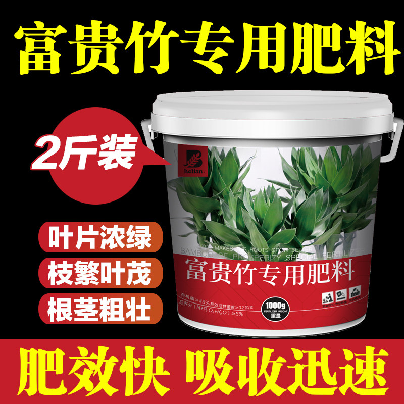 富贵竹营养液观音竹文竹水培植物颗粒缓释肥料通用型专用肥包邮
