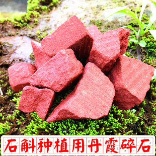 贵州赤水丹霞碎石 金钗石斛种盆栽植料铺面保湿 种各类石斛专用
