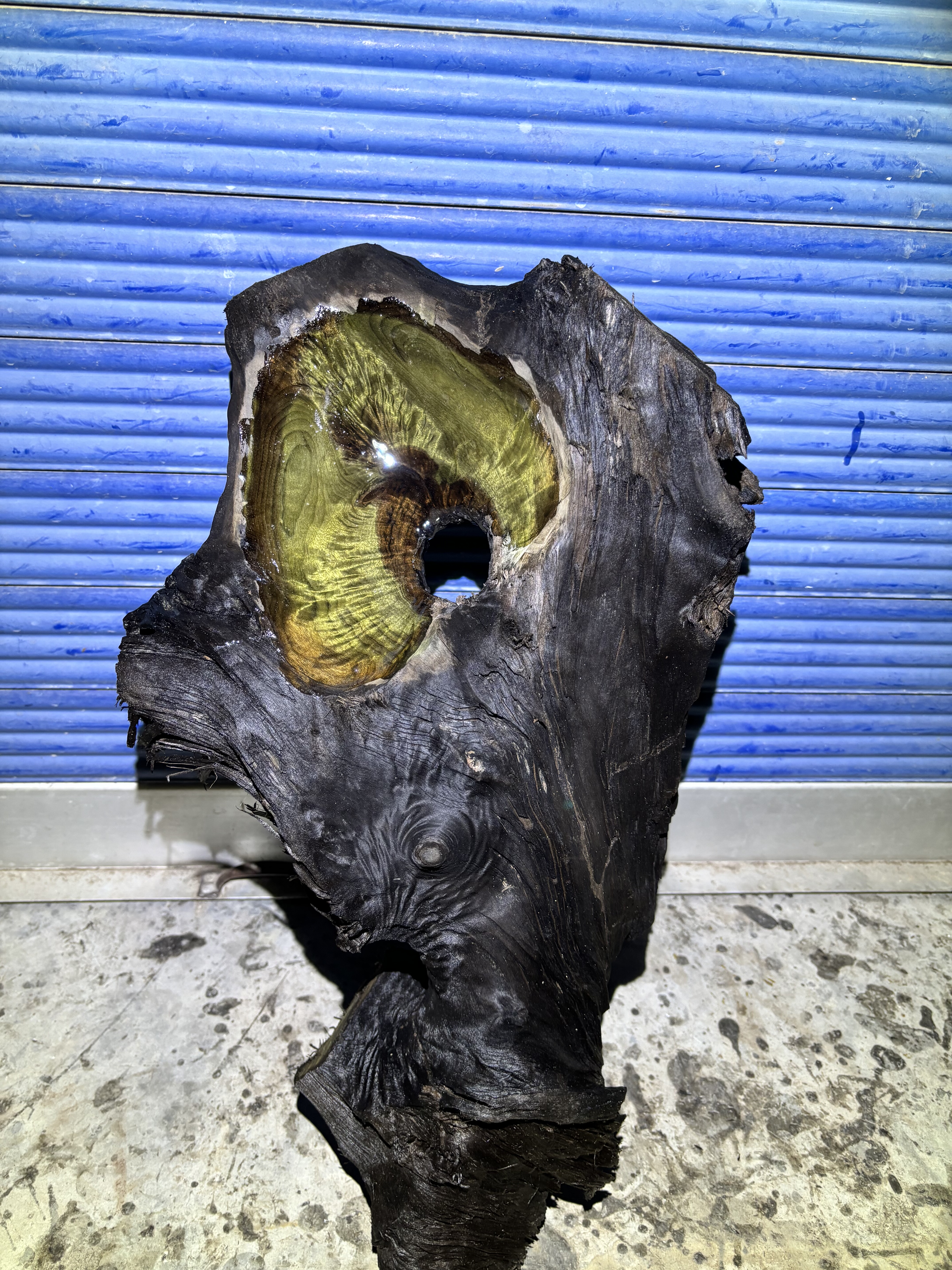 阴沉金丝楠乌木料小叶桢楠香味保真正品干料水波纹菊花摆件料工艺