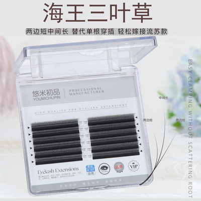 海王三叶草开花睫毛小花