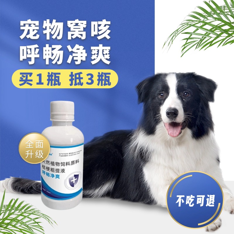 犬猫窝咳净犬窝咳特效专用药