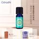 oshadhi德国O家 能量香薰油10ml香氛植物精油 瓦塔