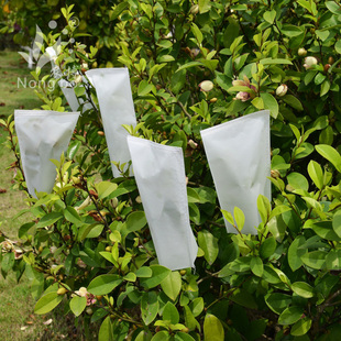 【缝制】羊皮纸袋/杂交纸袋/硫酸纸袋/水稻玉米授粉纸袋/育种套袋