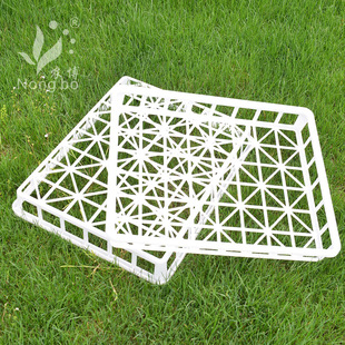 耐高温组培筐 组培框 组培周转盘箱框 组培专用托盘 塑料筐周转筐