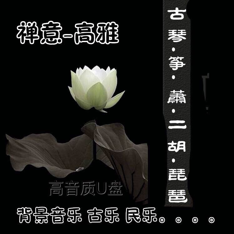 中国古典禅意民乐车载音乐U盘带二胡古筝古琴洞箫埙背景古风mp3