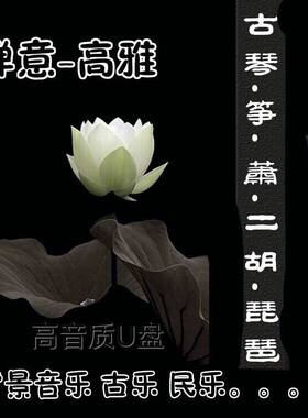 中国古典禅意民乐车载音U