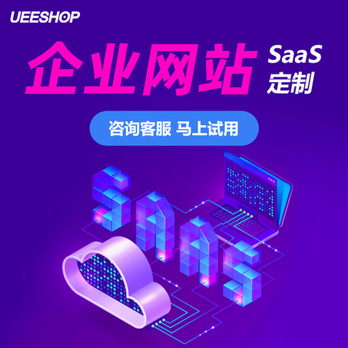 企业网站建设搭建中英文网站开发