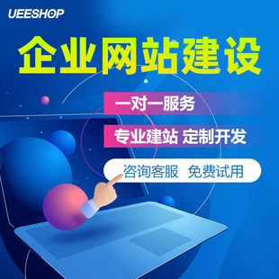 搭建营销型网站多语言制作 外贸企业网站建设多模板中英文网站