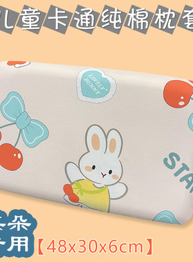 100%全棉新款58x35x5cm纯棉枕套48x30x6CM儿童深睡枕记忆棉枕头套