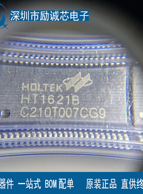 HT1621B 驱动LCD 贴片SSOP48 原装型号 IC芯片 BOM配单IC芯片现货
