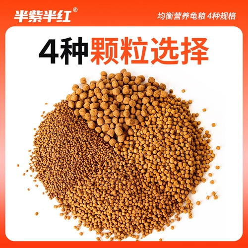 半紫半红 Зерновая черепаха кормить бразильские черепахи