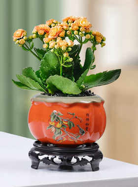 简约柿子陶瓷花盆桌面花卉多肉绿植花器客厅桌面办公桌装饰品盆景