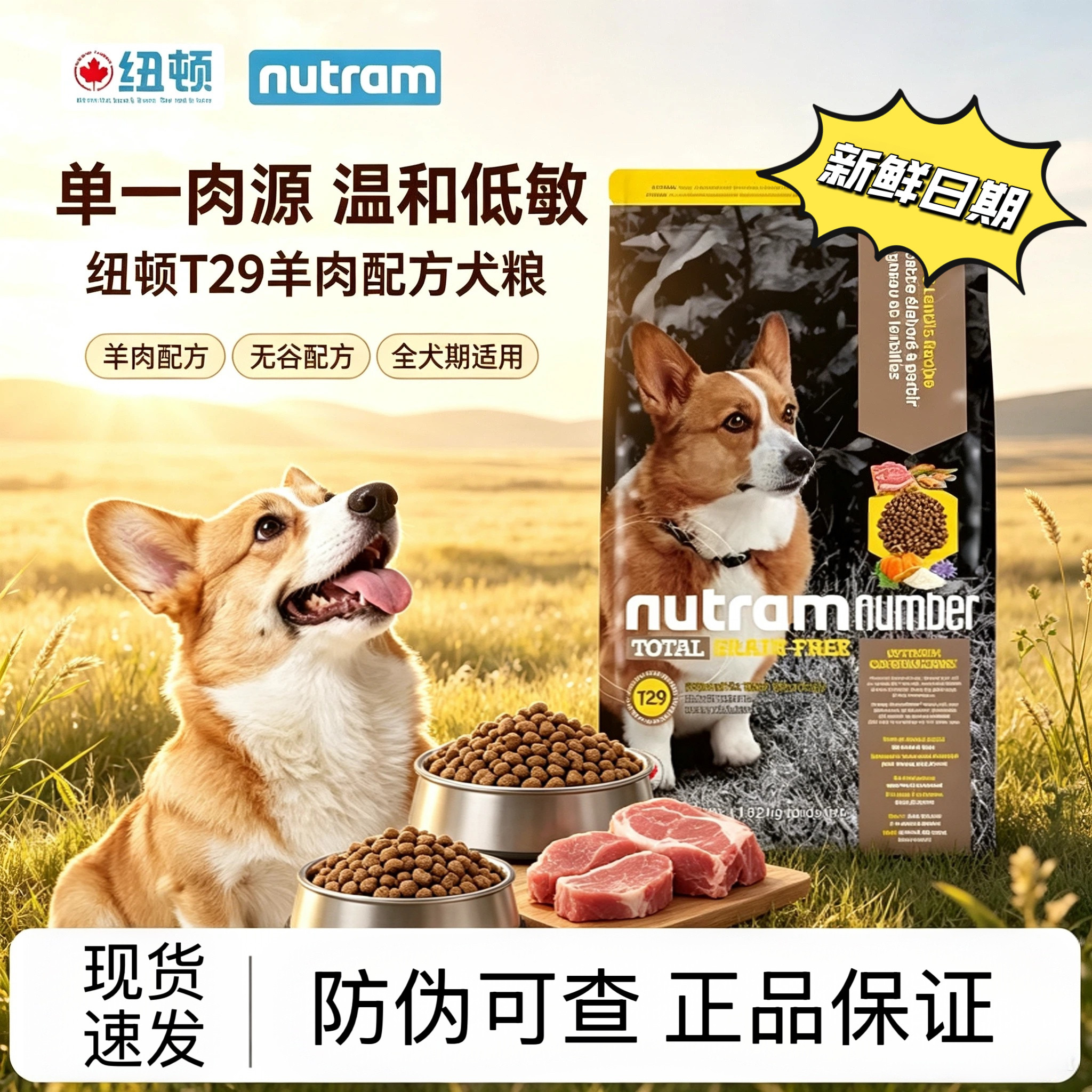 纽顿狗粮T29原装进口狗粮羊肉配方全价犬粮成犬幼犬通用型狗粮6kg