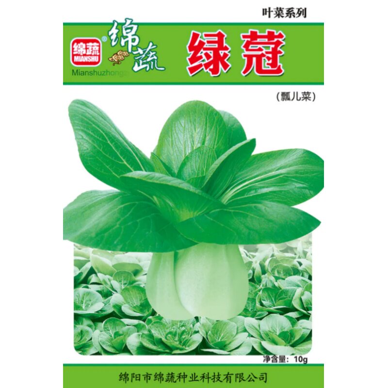 绿蒄瓢儿菜种子小白菜种籽上海青鸡毛菜种籽油菜四川夏秋季蔬菜孑