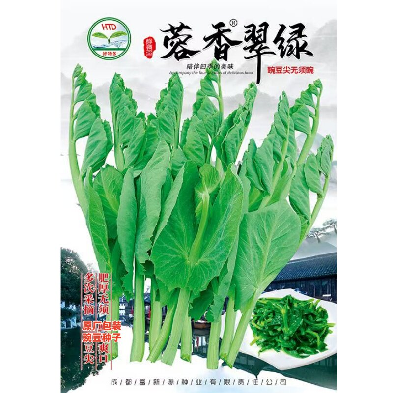 无须豌豆苗种籽秋冬田园蔬菜种孑