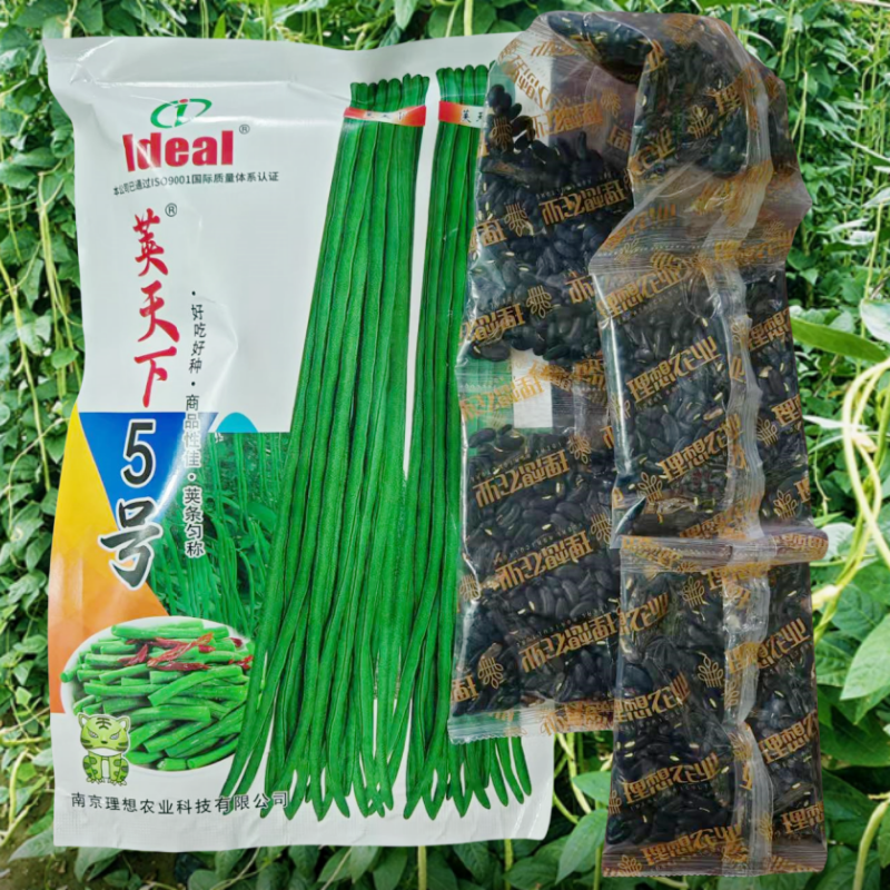 荚天下5号豇豆种子长豇豆角种籽