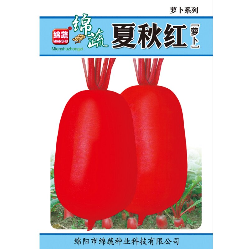 夏秋红萝卜种子四川满身红萝卜种籽红皮白肉萝卜夏秋季田园蔬菜孑