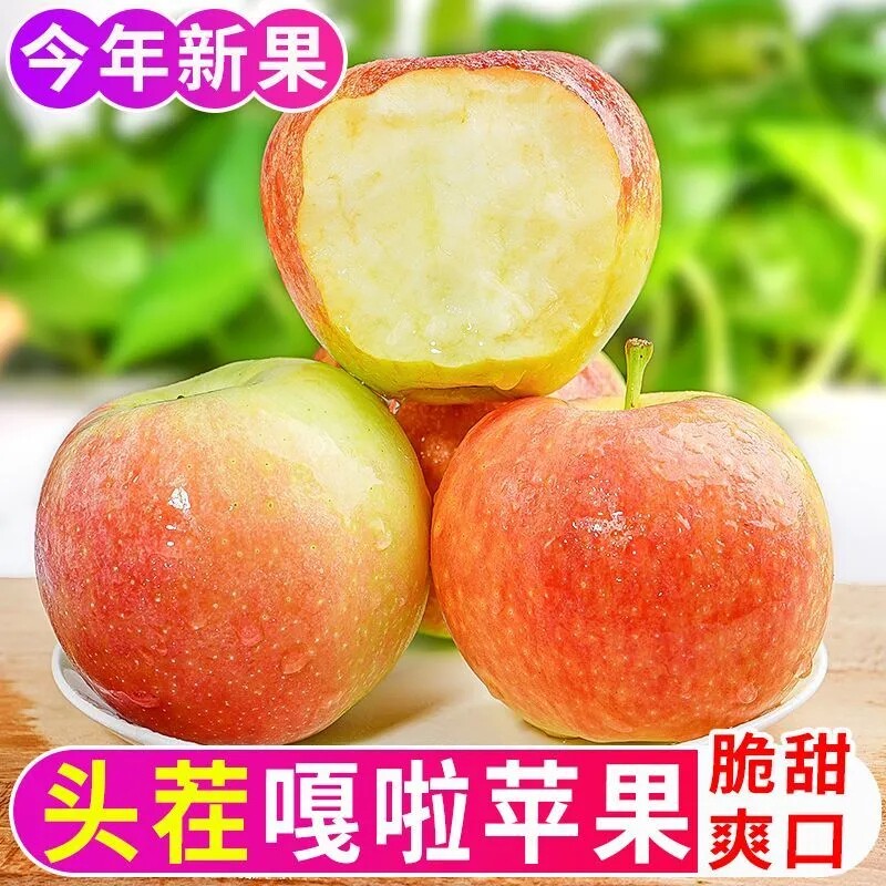 2026年头茬陕西高山脆甜嘎啦苹果
