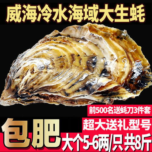 正宗威海鲜活生蚝海蛎子
