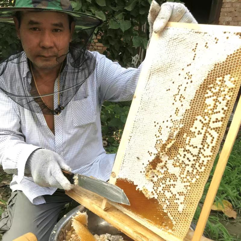 蜂争疯纯正天然原生态2025年新鲜新鲜槐花蜜自然成熟农家