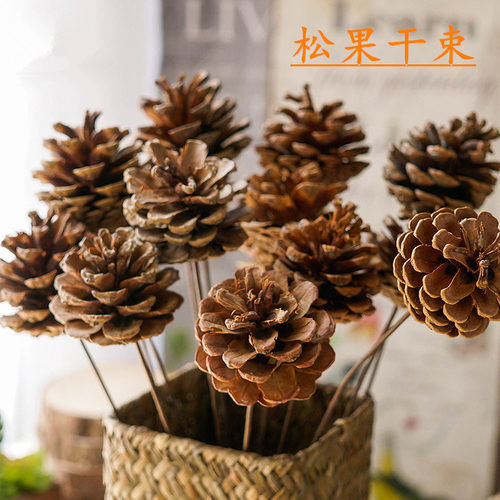 自然松果干花幼儿园手工DIY制作摄影拍摄道具圣诞树装饰 单支松果