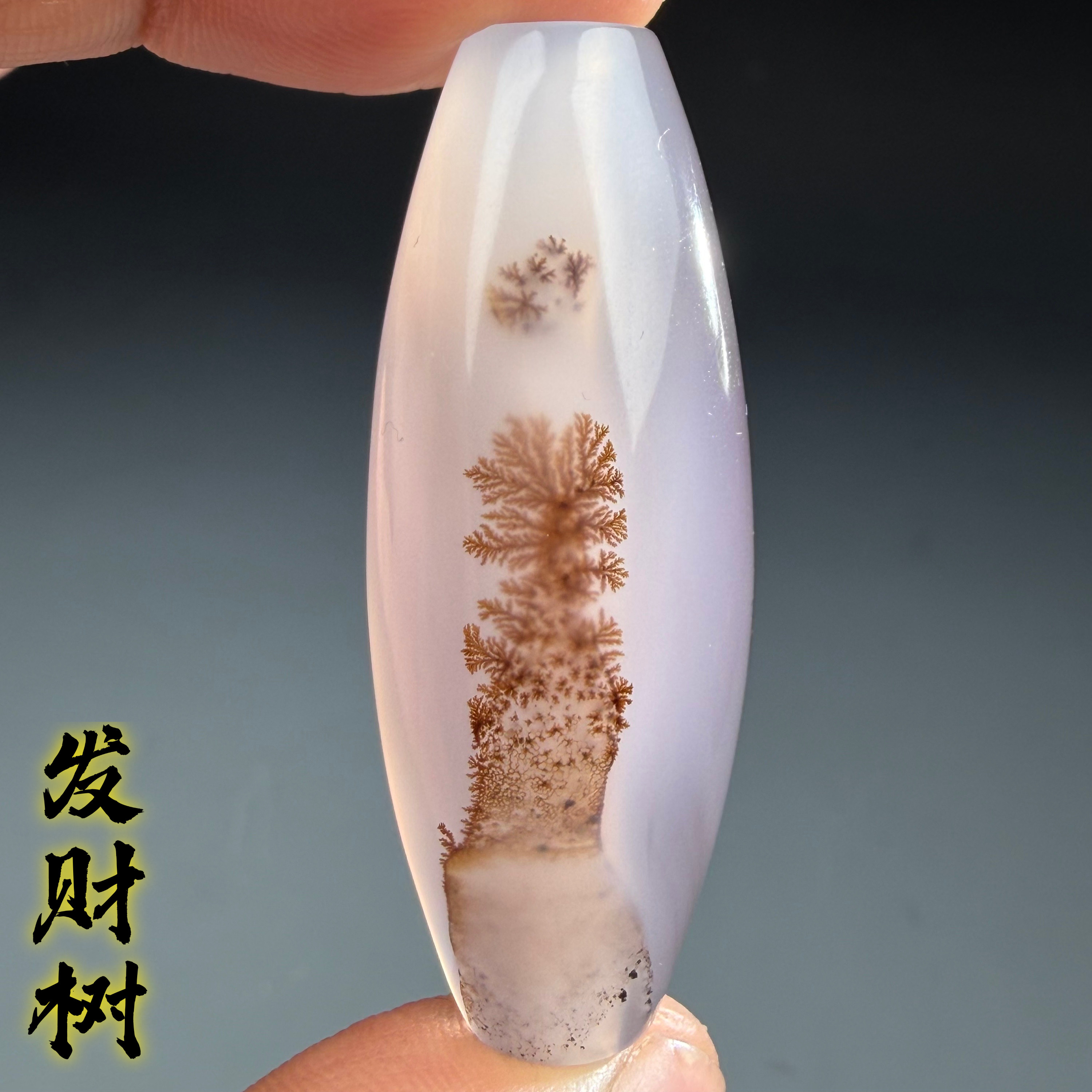 天然海洋玉髓象形发财树玛瑙天珠勒子吊坠挂件配饰寓意好图案清晰