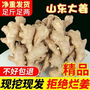 包邮 山东大黄姜新鲜生姜现挖老姜5斤月子姜土姜嫩姜仔姜姜母10斤