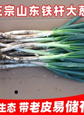 山东大葱新鲜甜葱特级10/5斤铁杆大葱非章丘长白毛葱蘸酱嫩葱包邮