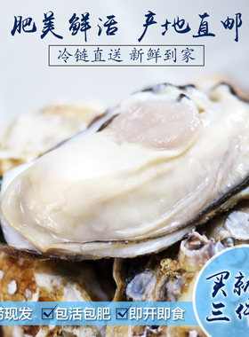 乳山牡蛎生蚝鲜活海蜊子顺丰现捞