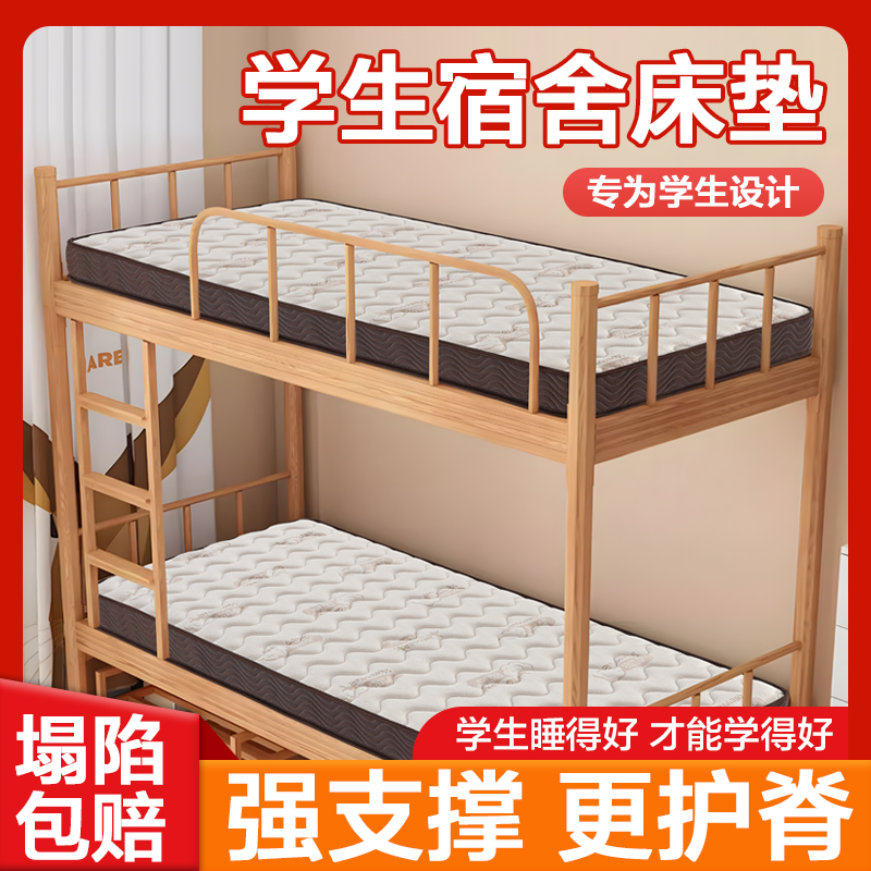 椰棕偏硬护腰护脊防螨天丝可折叠