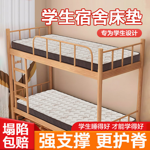 椰棕偏硬护腰护脊防螨天丝可折叠