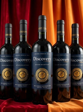 Discovery发现者酒庄精选赤霞珠干红葡萄酒智利原瓶进口卡门酒庄