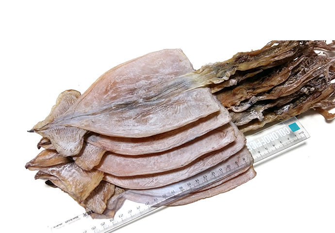 鱿鱼干500g/条海鲜特产干货